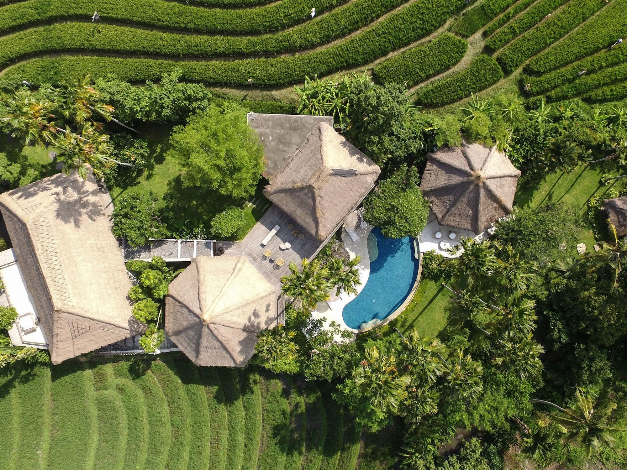 Planta Boutique Resort Canggu Dış mekan fotoğraf